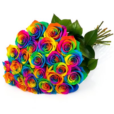 Rainbow růže